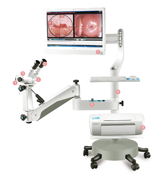 Digital Imaging Colposcope System KN-2200BII