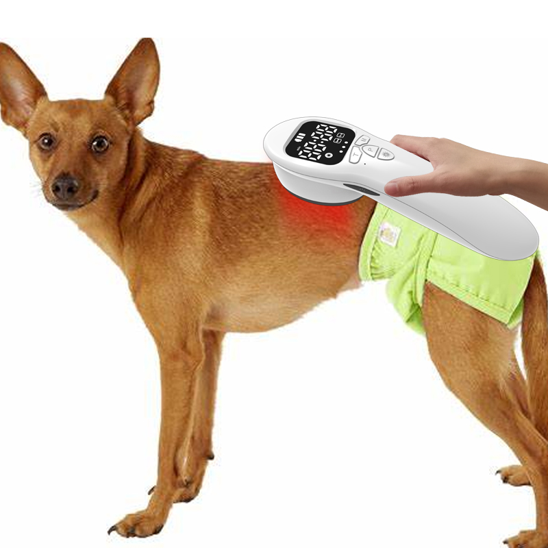 COZING-T03 Veterinary Handheld Laser Pain Relief Device
