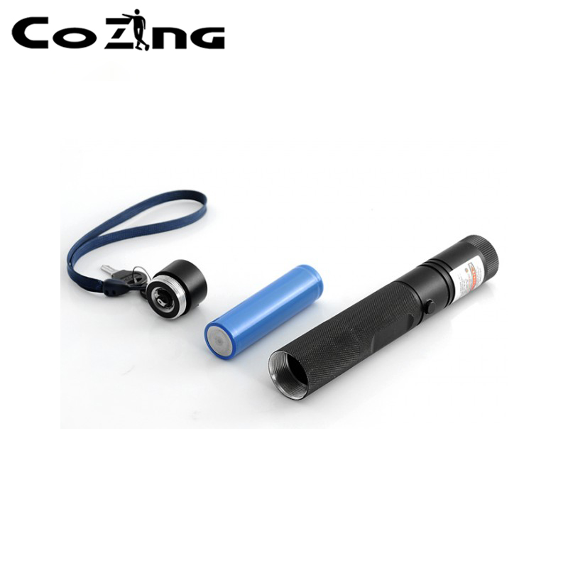 Physiotherapy Red Laser Acupuncture Pen for Pain Relief