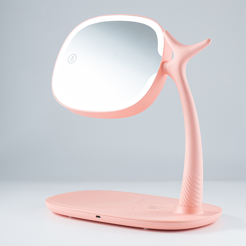 Rechargeable LED Lighted Makeup Mirror with 3x Magnification