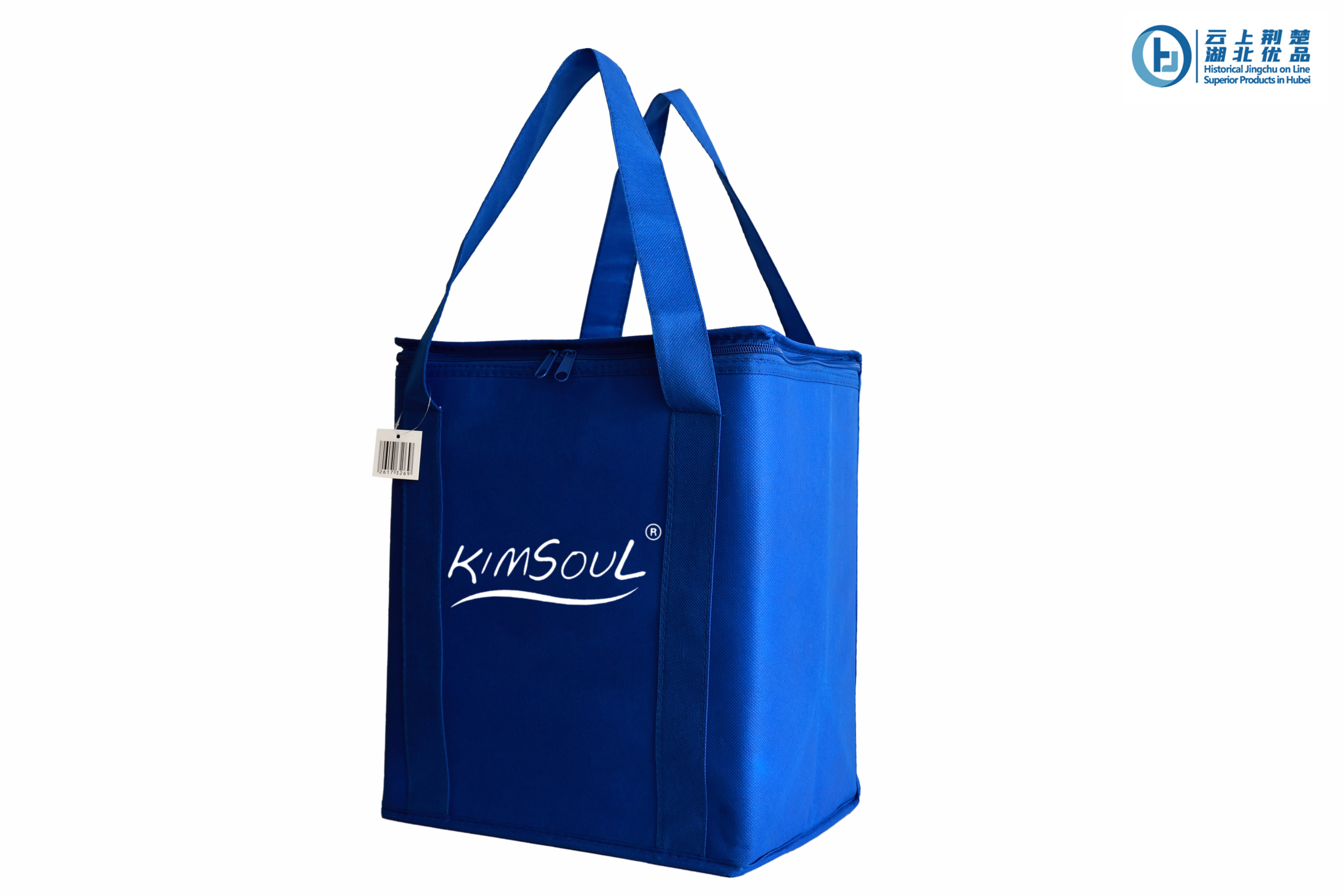Cooler Bag
