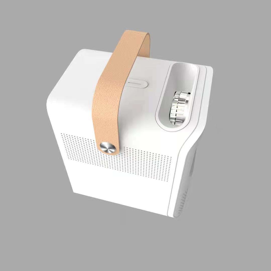 Portable Projector