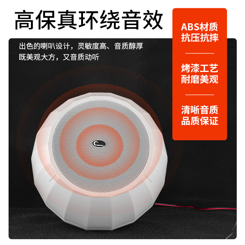 CL653 Audio Sphere 6.5" Indoor Hanging Pendant Speaker