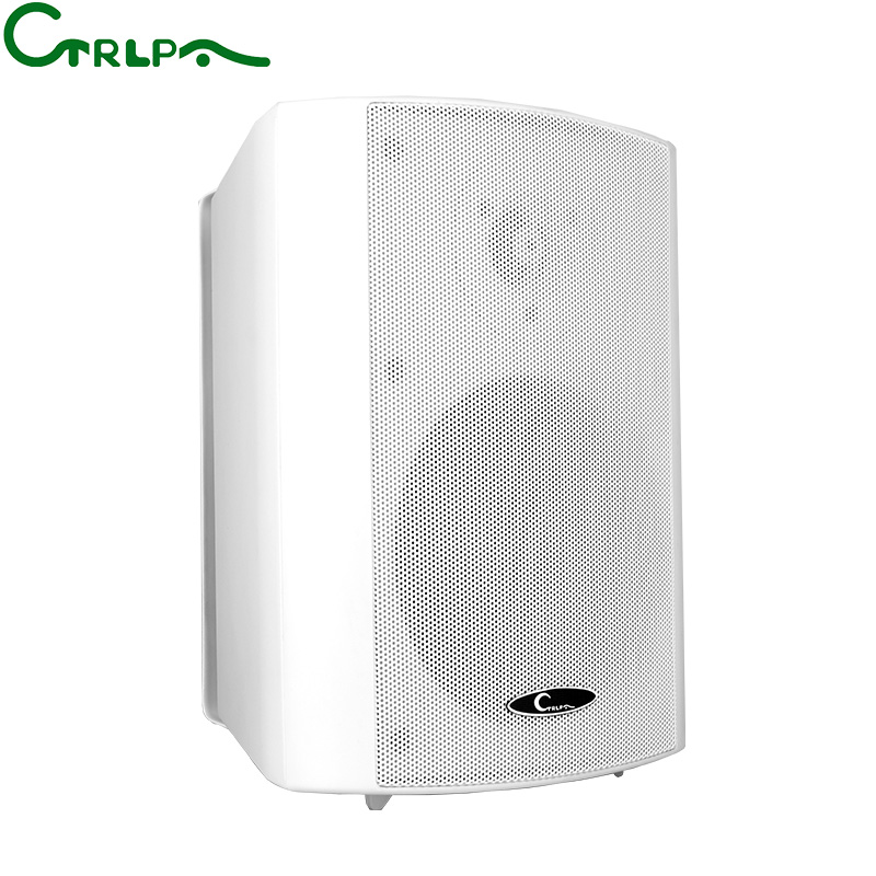CTRLPA CL611 20W Wall Mounted PA System Hanging Speaker