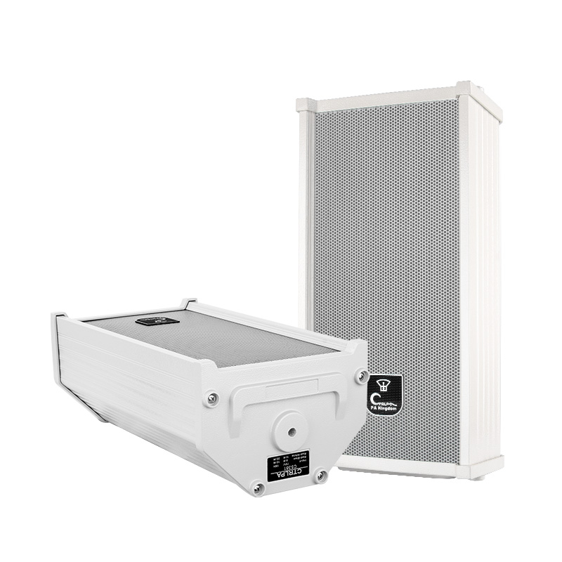 CTRLPA CS381 10W Speaker Column