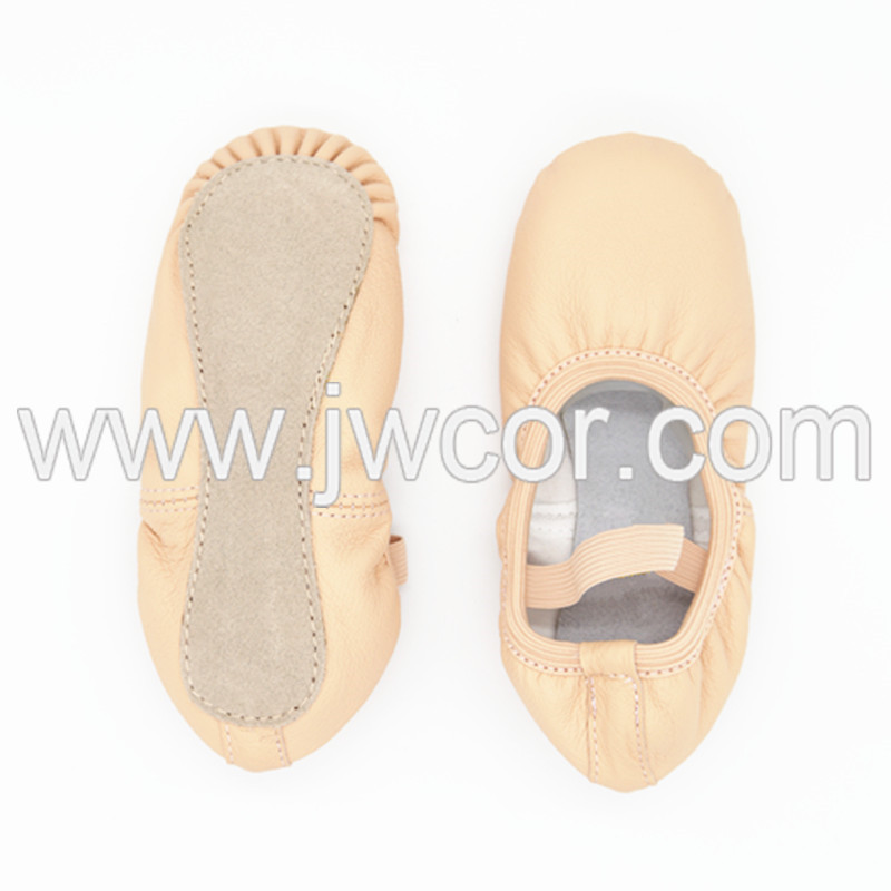 Ballet Dance Jazz Shoes and Sneakers