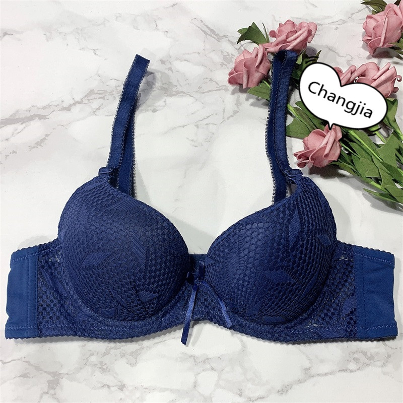 Women's Lace Basic Sexy Lingerie Bra