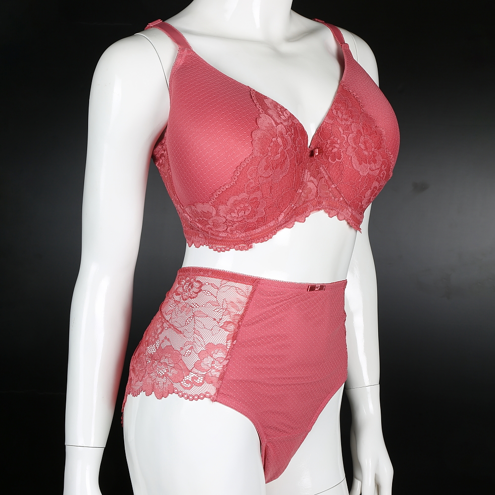 Women's Plus Size Lace Bra and Brief Set