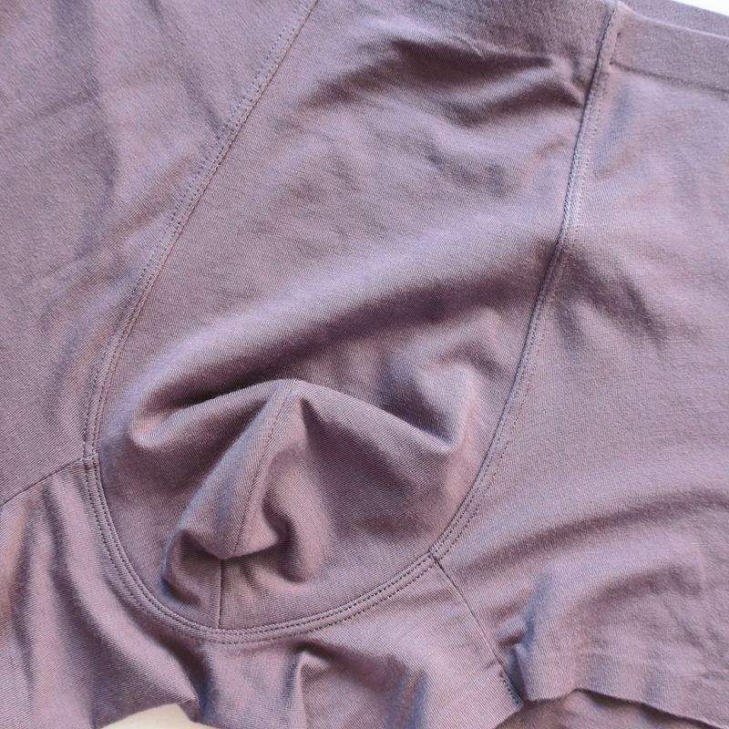 Seamless Bonding Men's Panty