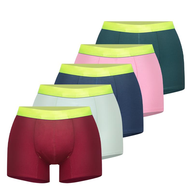 Men's Boxer Briefs, Lingerie, Pajamas, and T-shirts