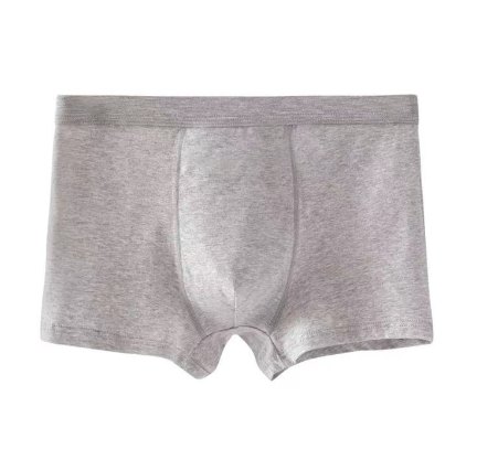 Men's Boxer
