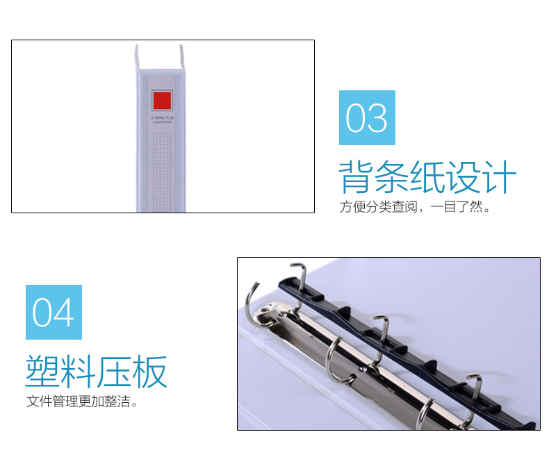 PP Ring Binder with Customization Options