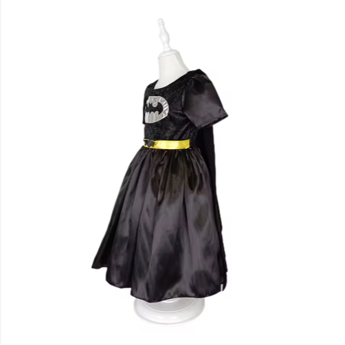Hero Princess Costume for Girls