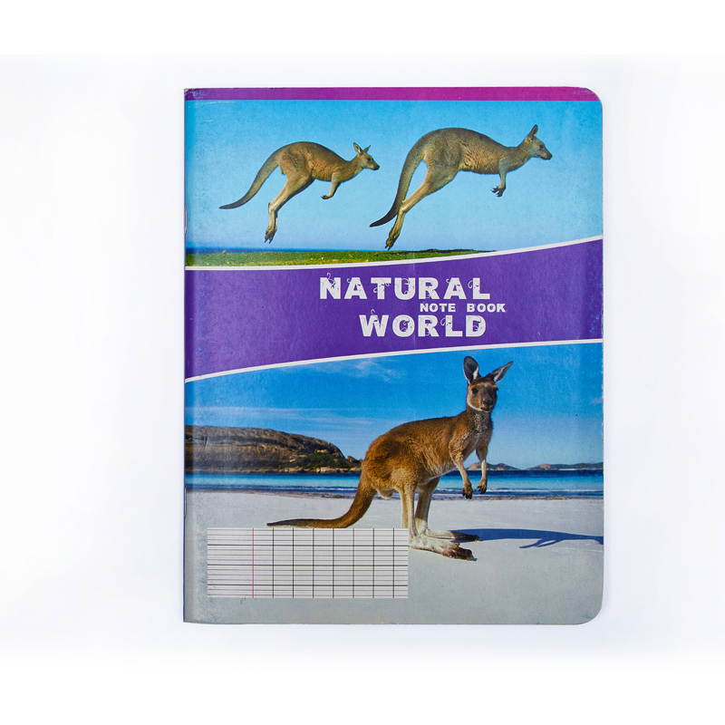 Seyes stapled exercise book, 192 pages