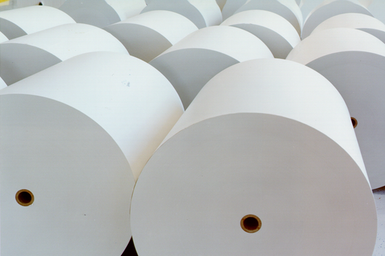 Woodfree Offset Printing Paper, Bond Paper Big Sheet and Jumbo Roll