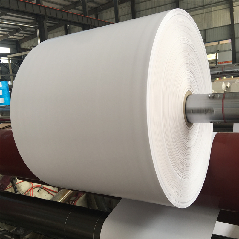 Thermal Paper Jumbo Reels