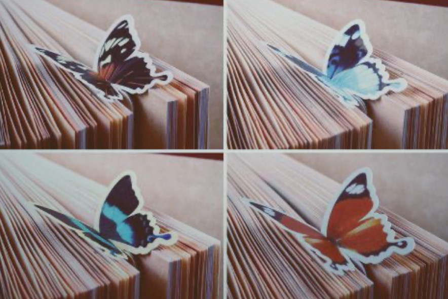 Canton Fair product