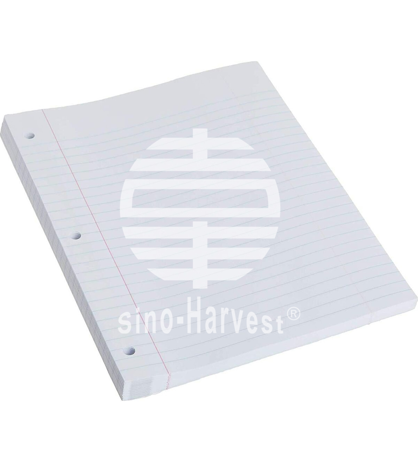 Striped Portfolio Sheets