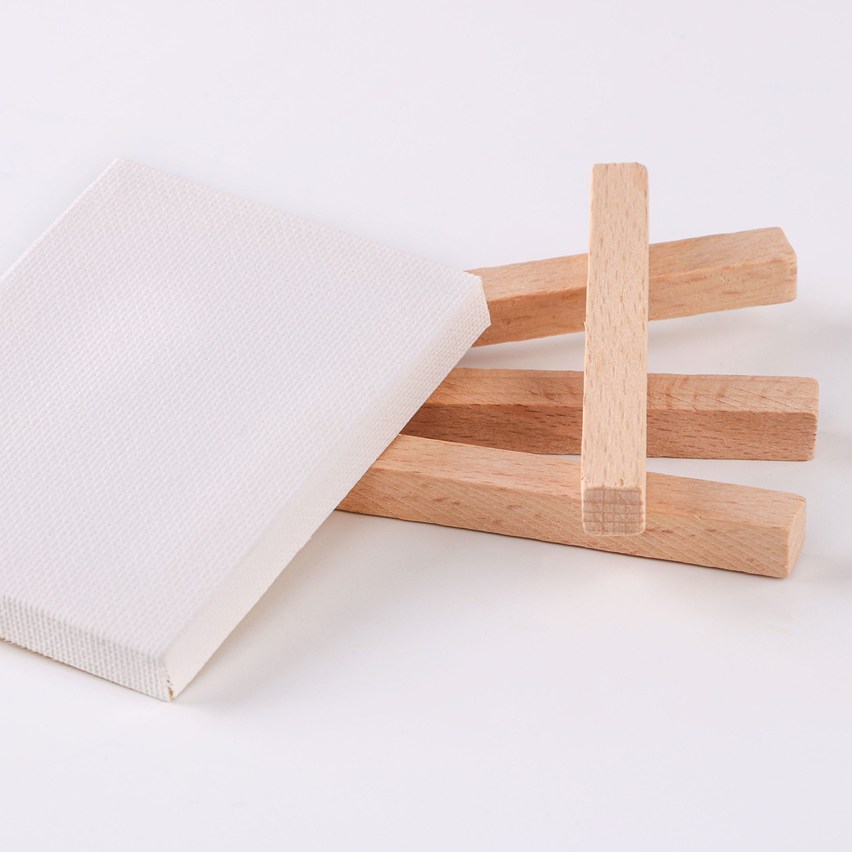 Mini Easel and Canvas Set