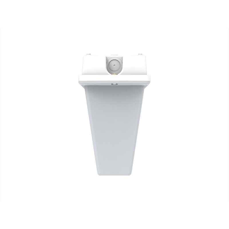 IP65 Emergency 3-Hour LED Emergency Light Box