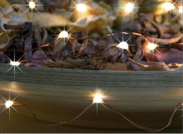 50L Copper Wire LED Lamp String
