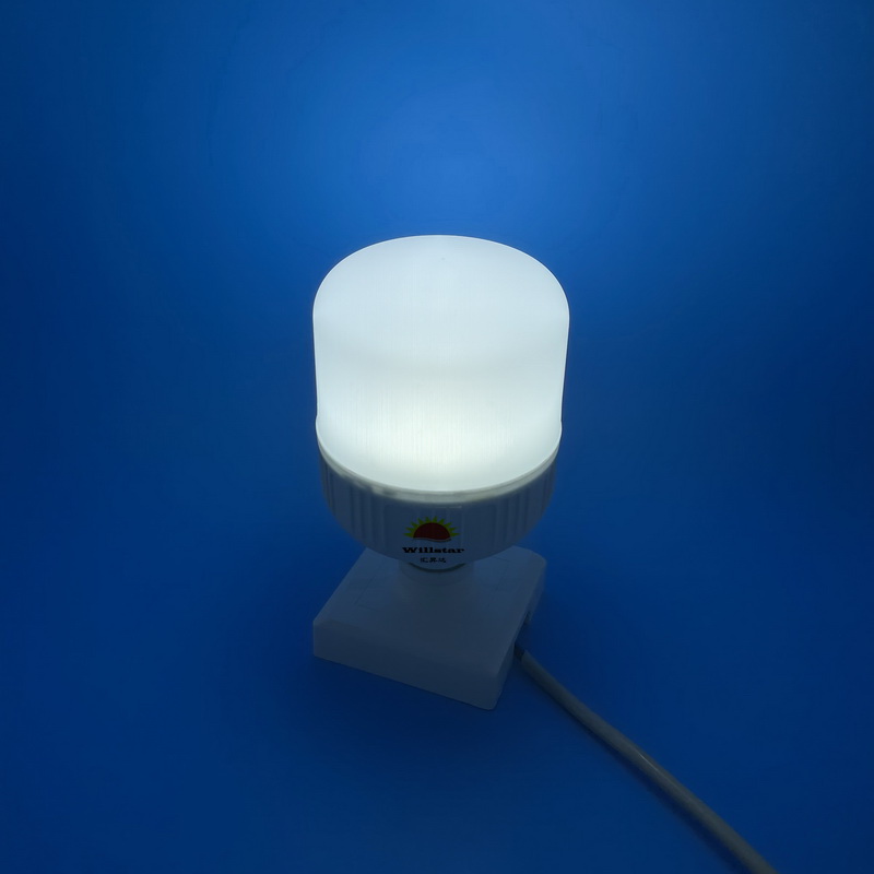 T-Type GFS LED Bulb T100, 20W
