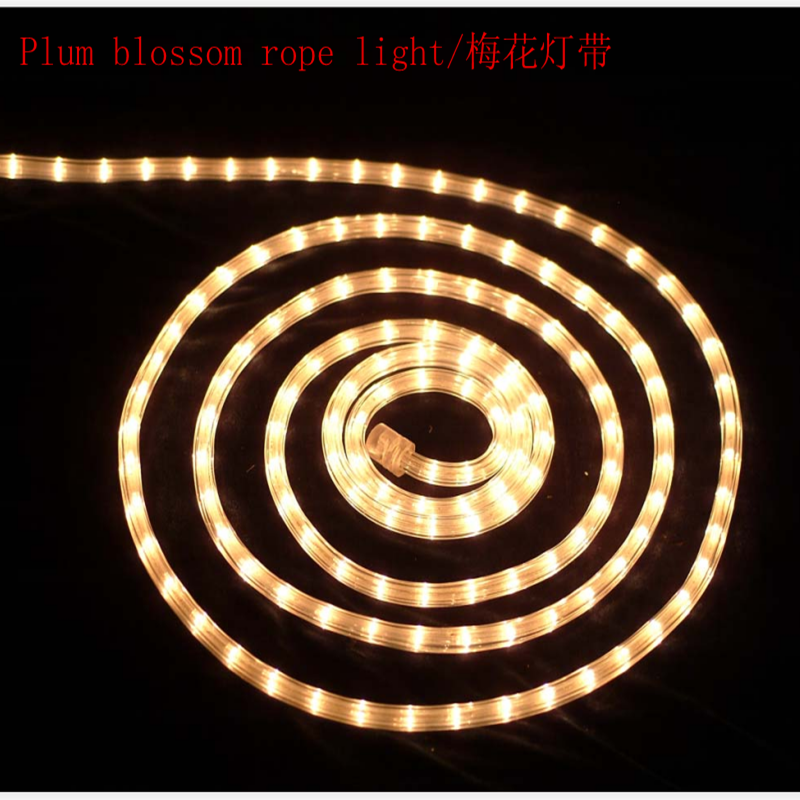 LED Rope Light, Flexible Neon Light, 36 LEDs/m, 100m Roll
