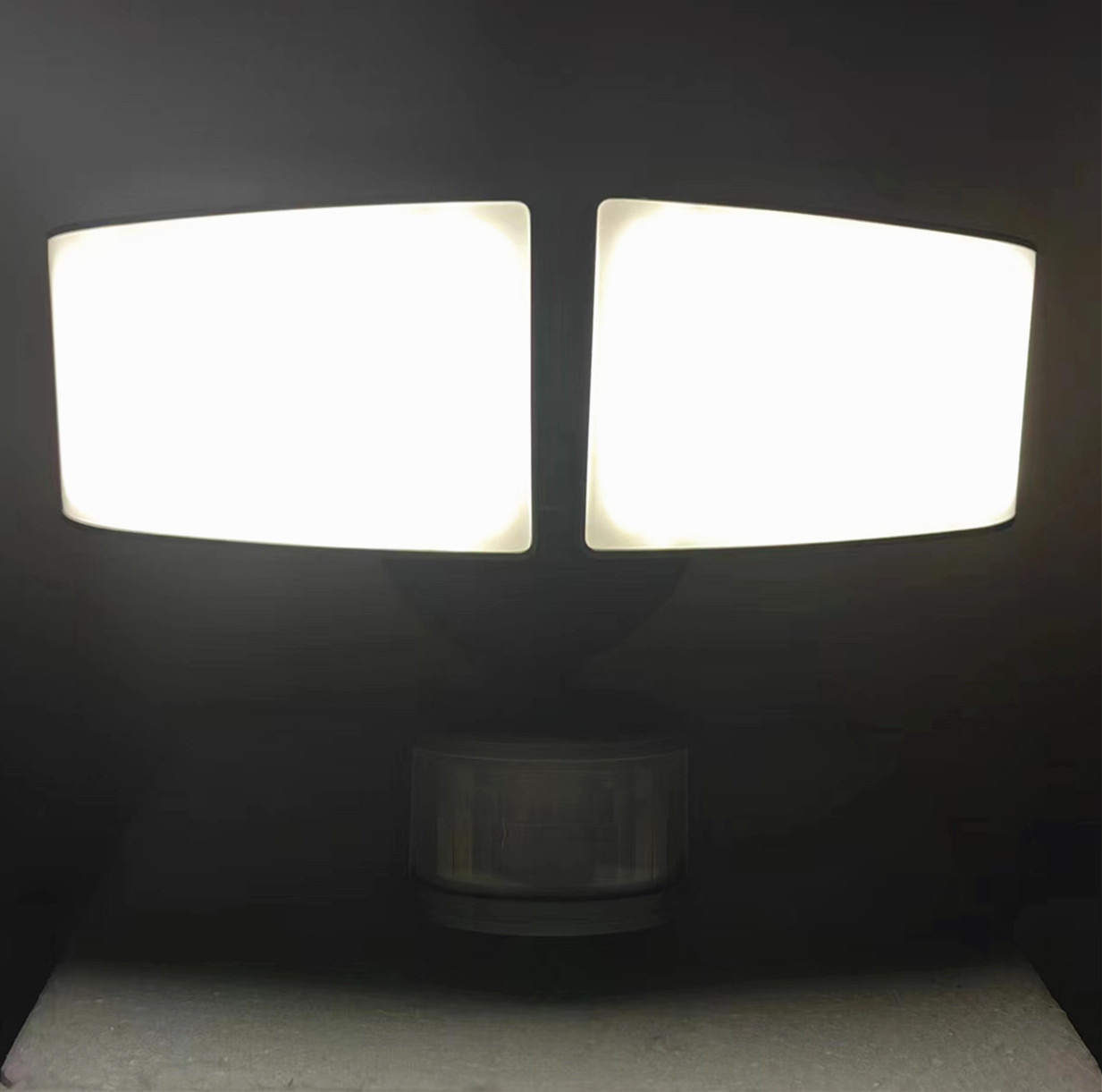 Solar Dual Head Sensor Light with Adjustable Settings