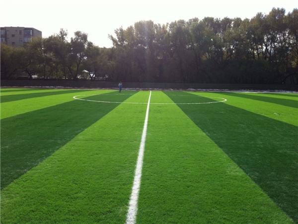 Artificial Turf