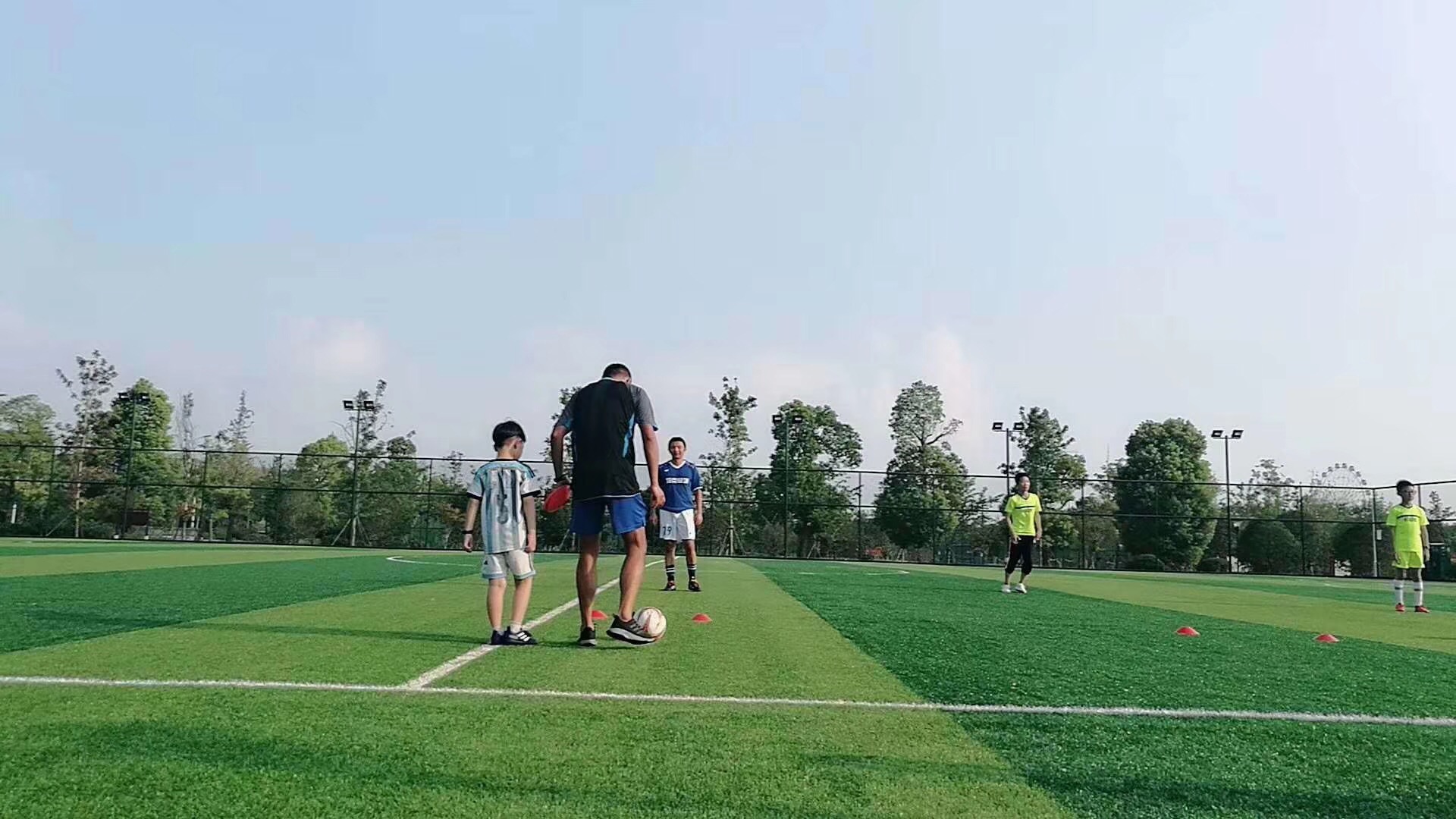 Artificial Turf