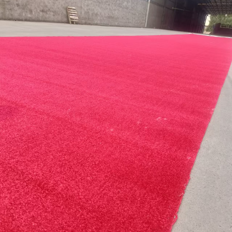 Abrasion & Stain Resistant Polypropylene Scrim Back Broadloom Carpet
