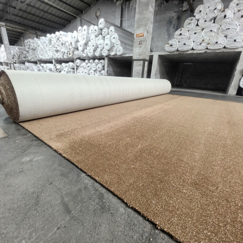 Cost-Effective Woven Polypropylene Broadloom Carpet with Stable Scrim Back