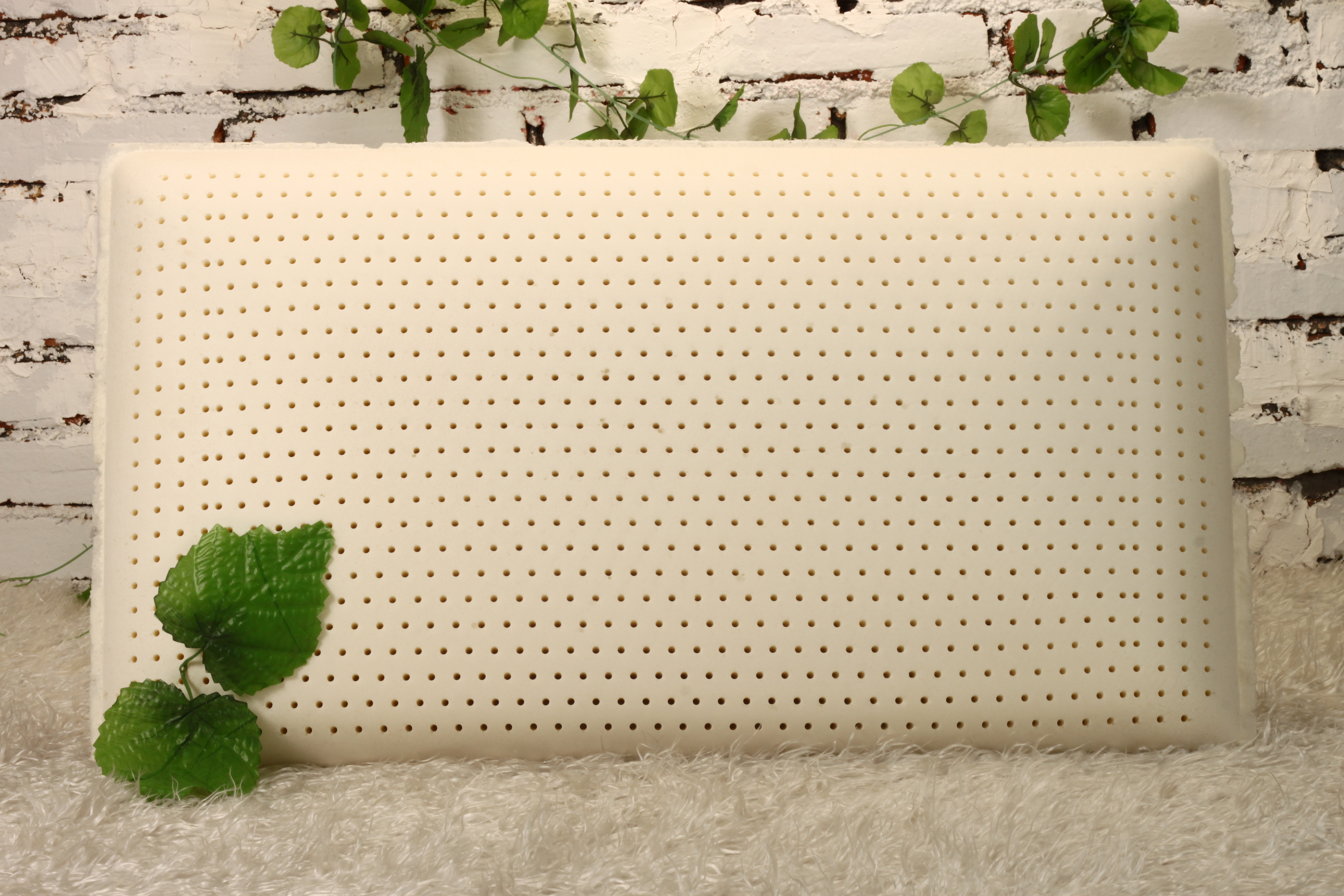 Talalay Natural Latex Pillow 65x45x16cm