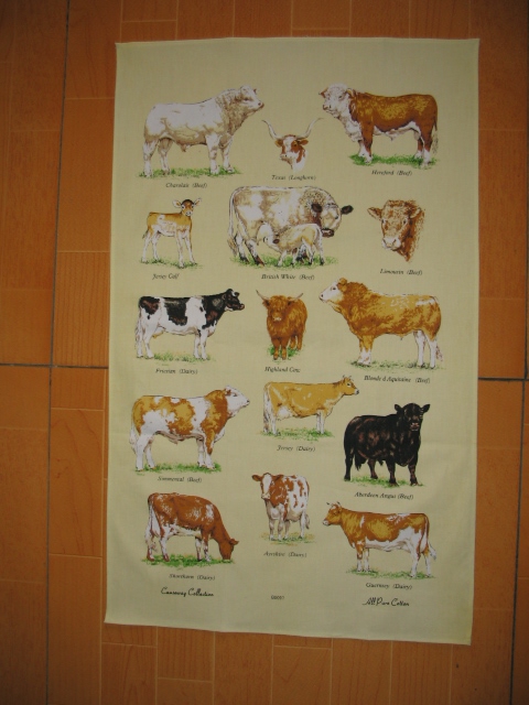 Printed Cotton Tea Towel, Kitchen Towel, Dish Cloth, Cleaning Towel