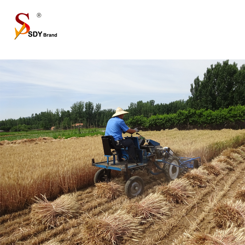 Agricultural Reaper Binder