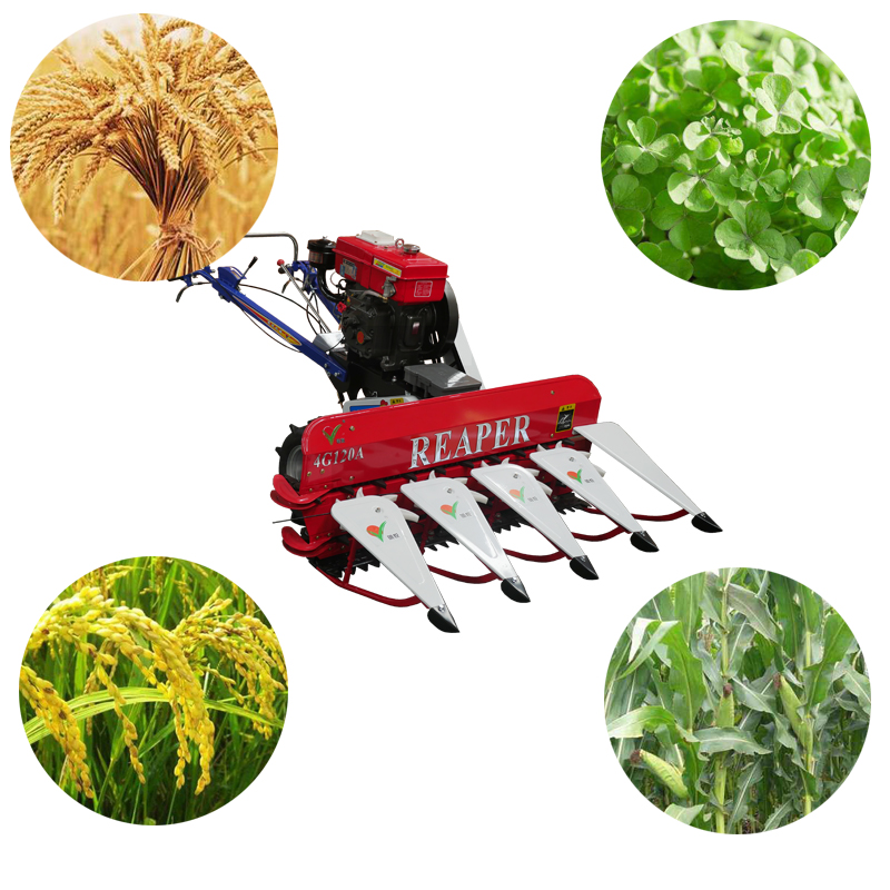 Canton Fair product