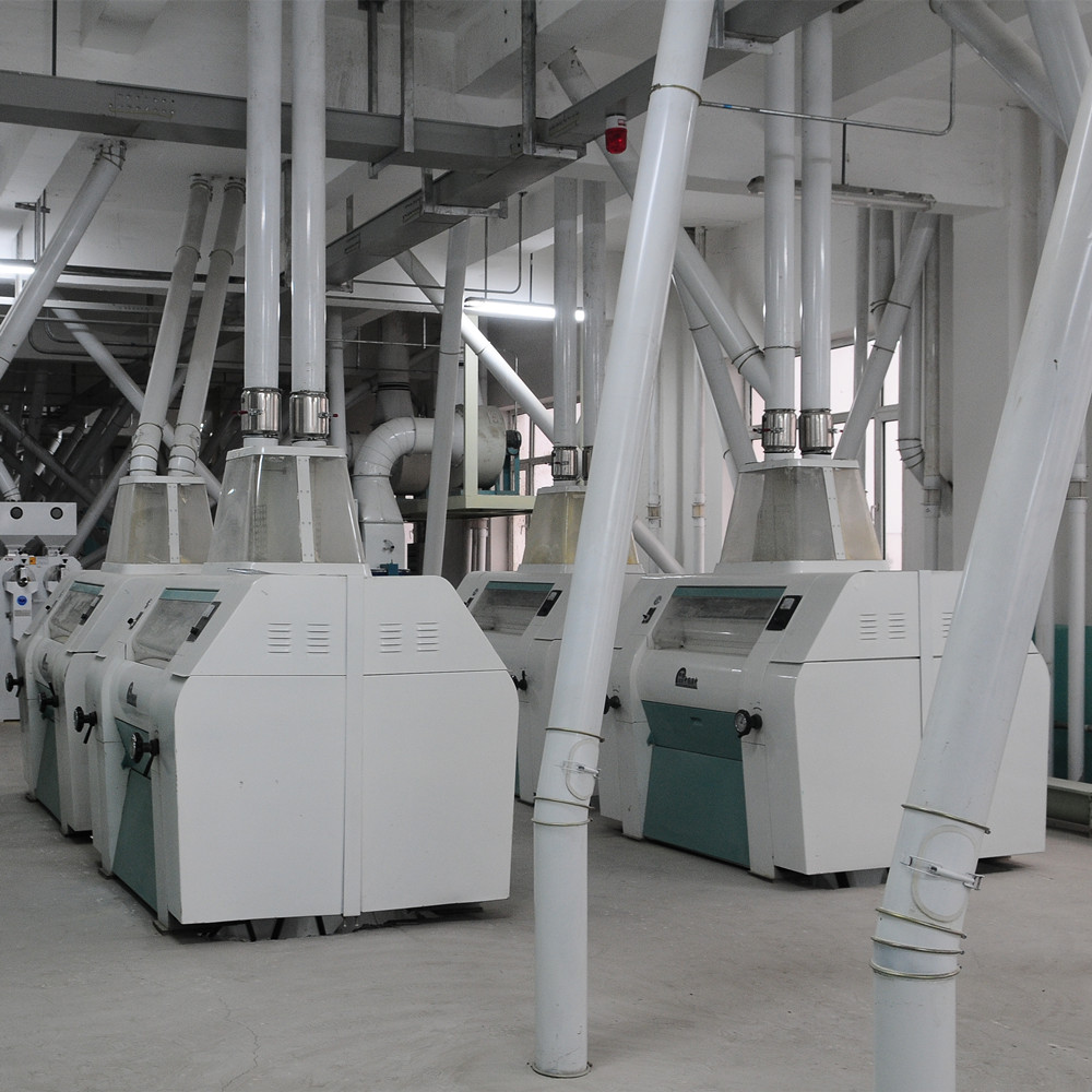 50-300 Ton Large Scale Complete Maize Milling Plant
