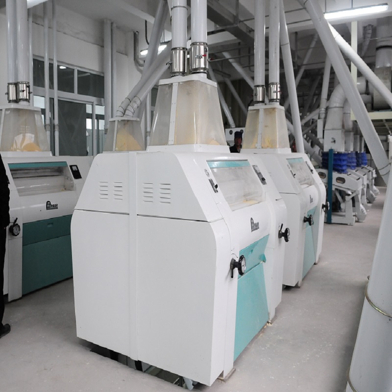 100 Ton/Day Maize Flour Milling Plant with Steel Structure