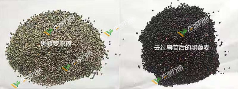 Canton Fair product