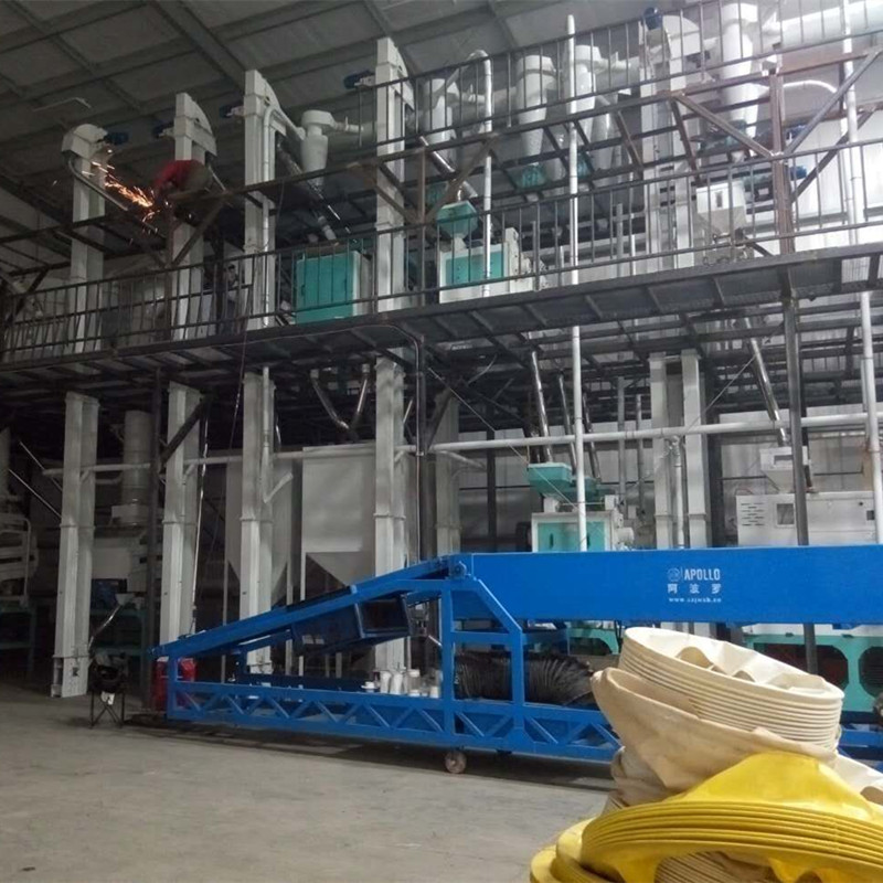 Lentil Processing Plant: Peeling and Splitting Line