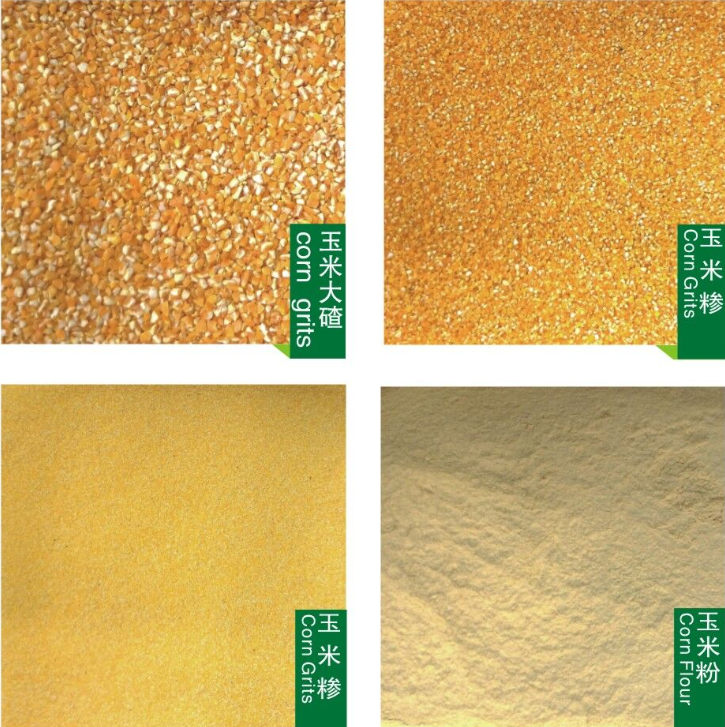 Canton Fair product