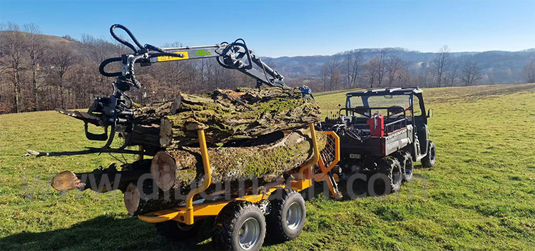 DIBO ATV UTV 3 Ton Log Loader Timber Trailer