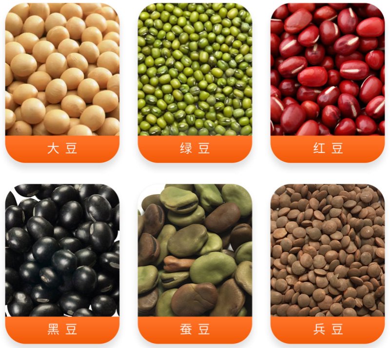 Canton Fair product