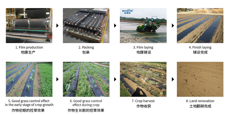 Canton Fair product