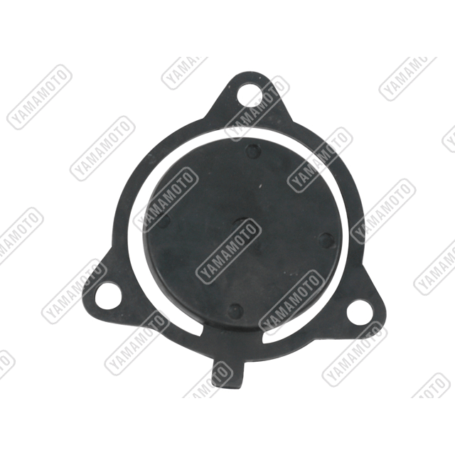 YAMAMOTO WP80 Valve In.