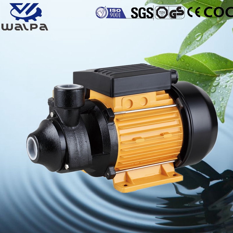 WALPA Peripheral Pump