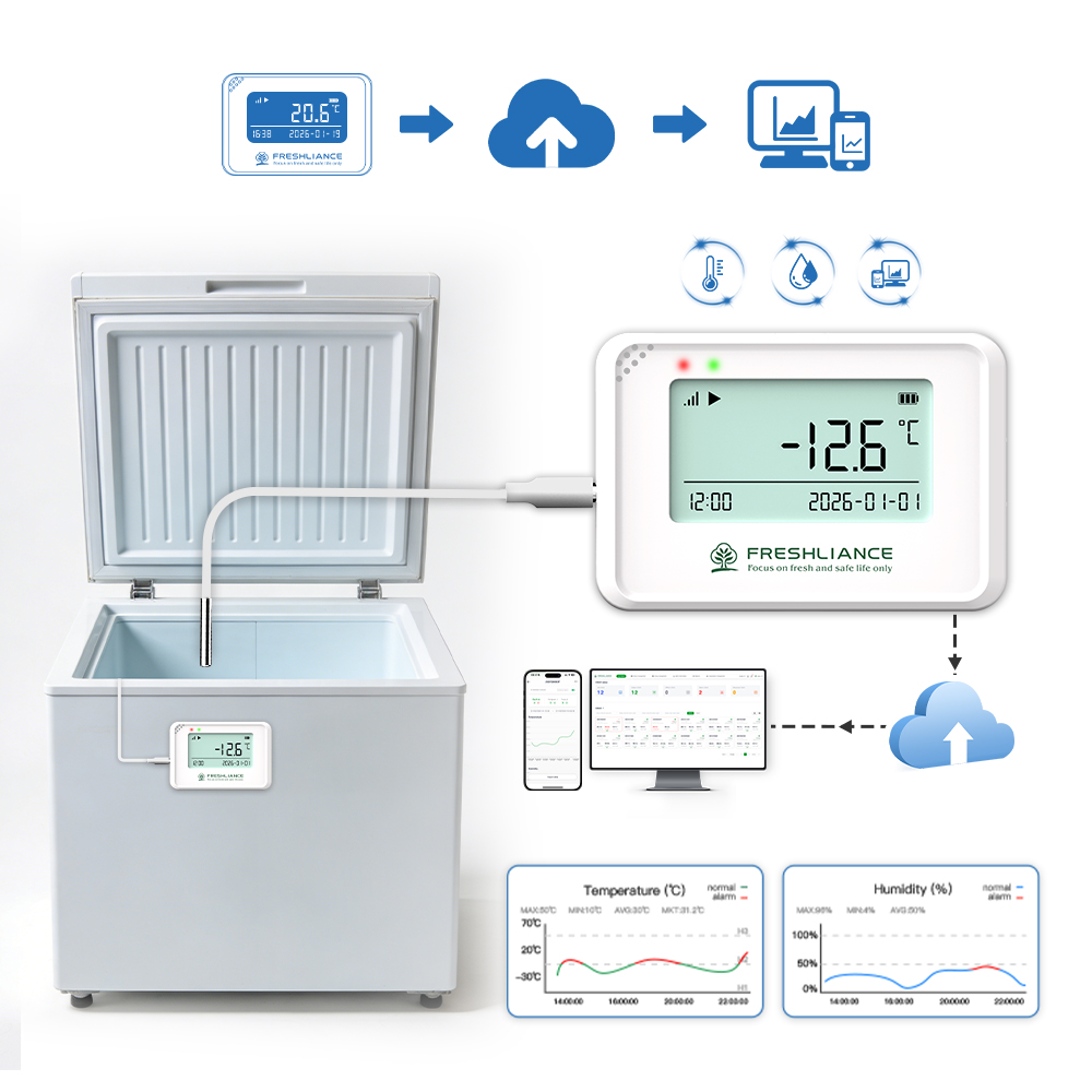 COEUS Mini Compact Real-Time Temperature Humidity Data Logger