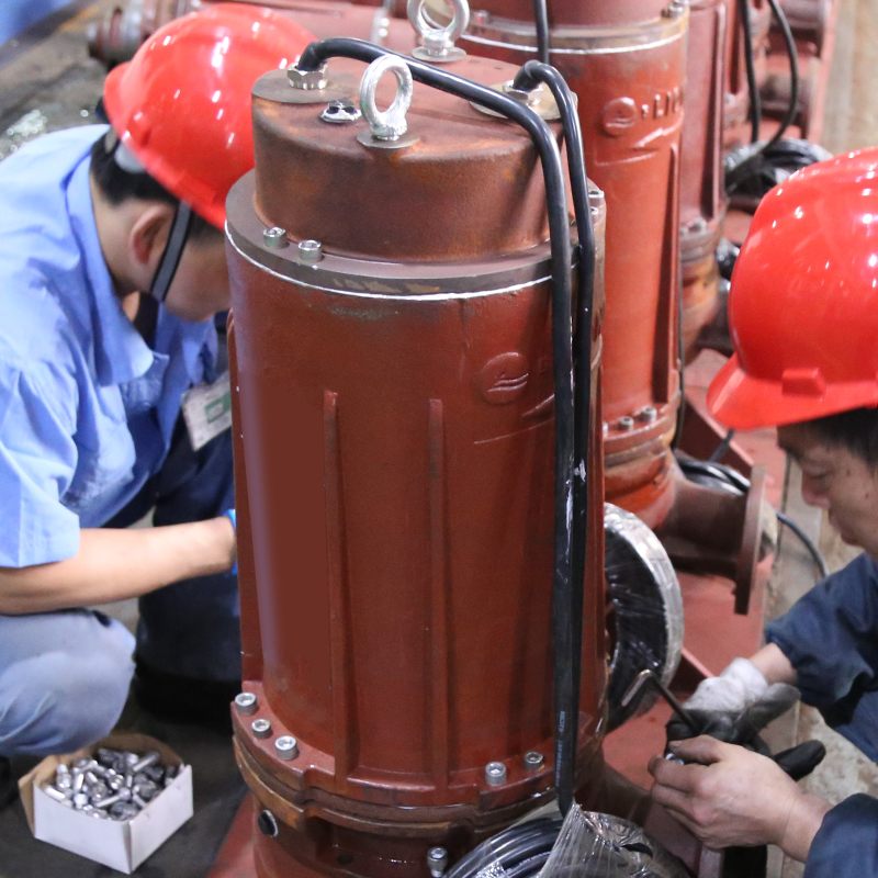 Submersible Sewage Pump