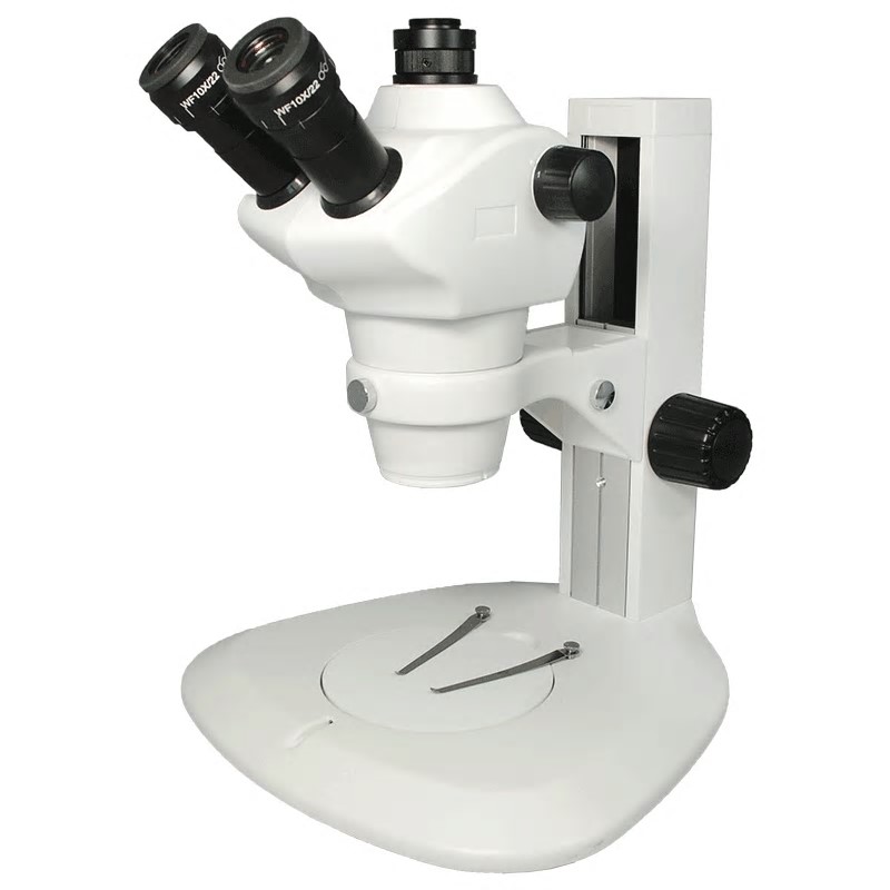 Stereo Zoom Microscope SMZ8050T-ST10