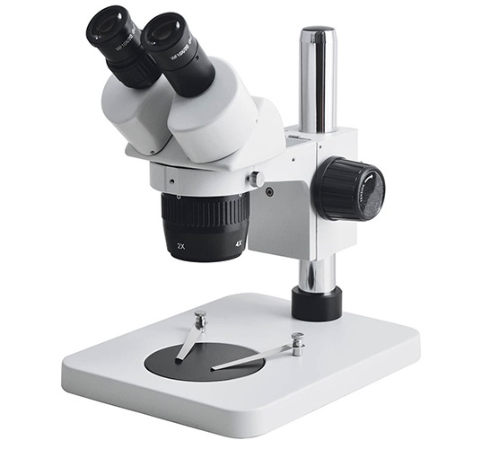 Stereo Microscope